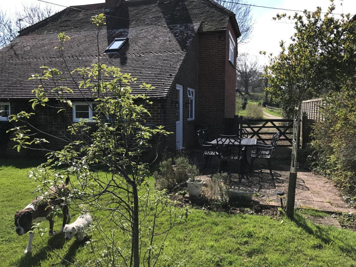 Godshill Park Cottages Dış mekan fotoğraf