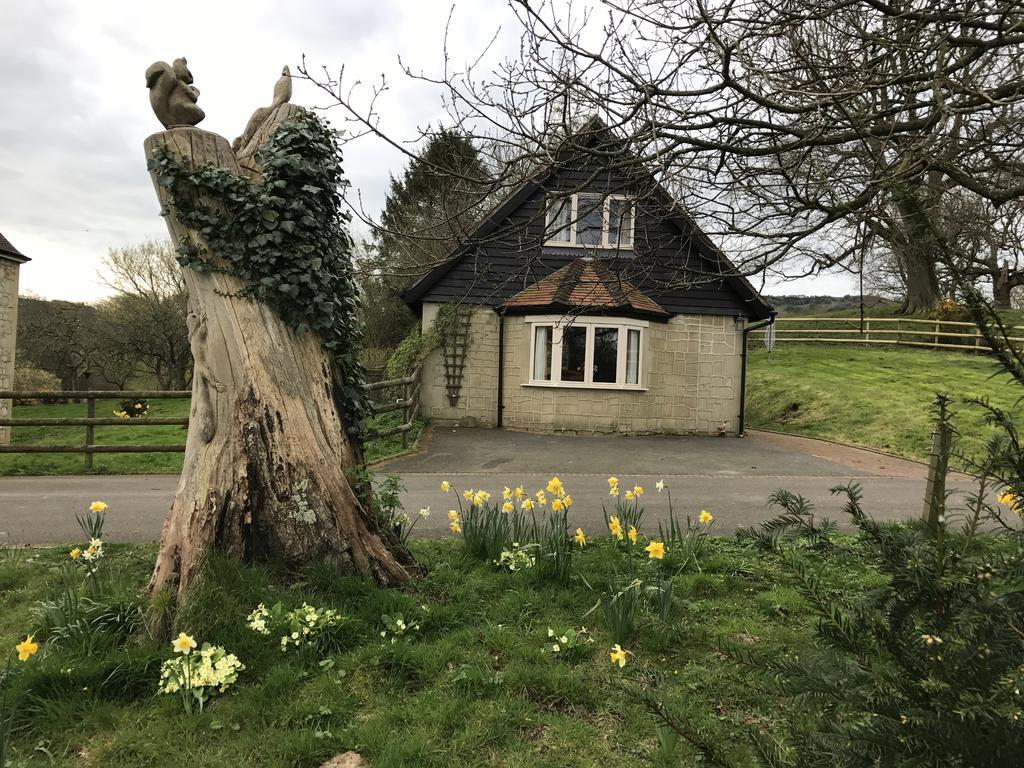 Godshill Park Cottages Dış mekan fotoğraf
